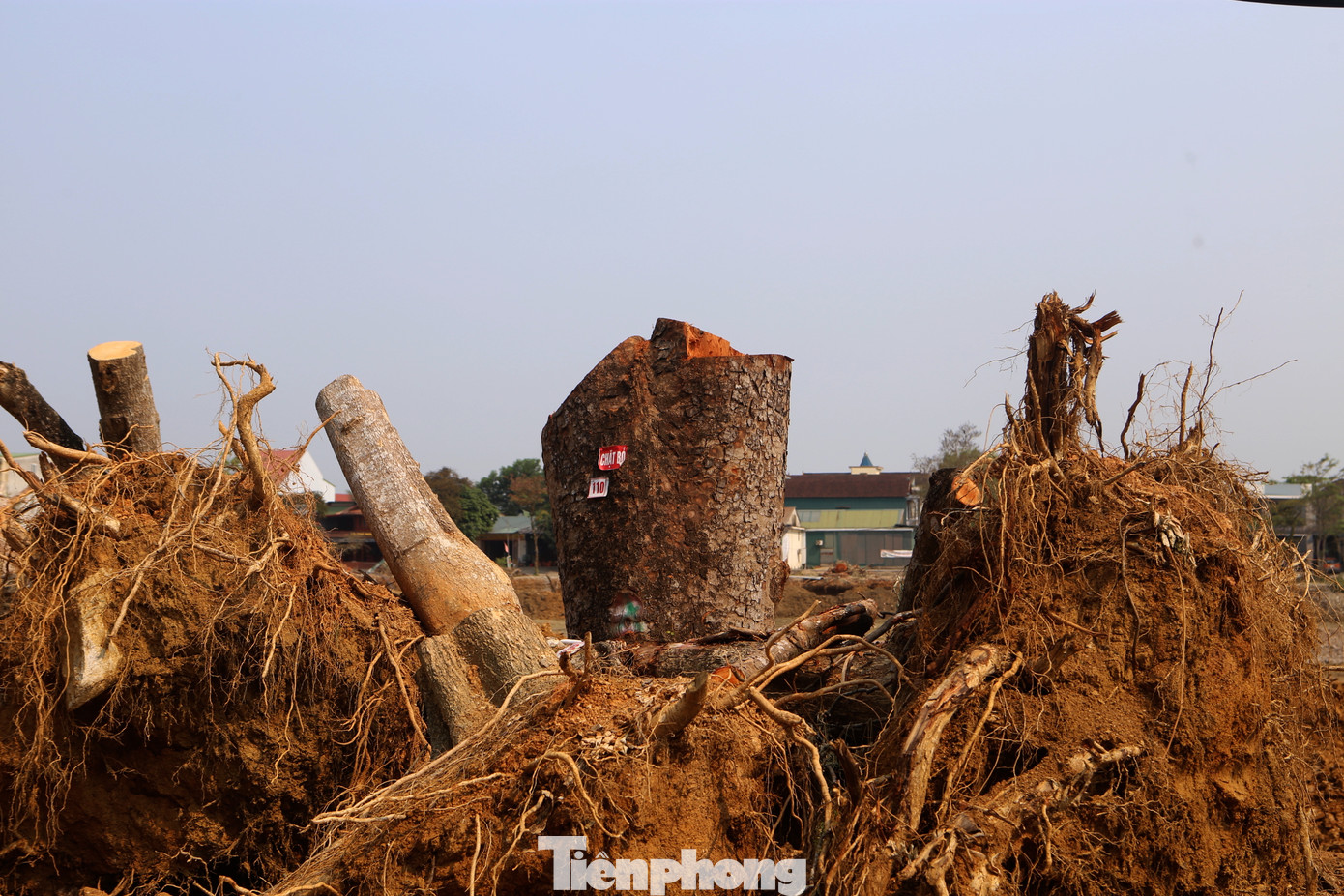 Đây là nguồn vốn vay của cơ quan Phát triển Pháp (AFD), vốn viện trợ không hoàn lại của Liên minh Châu Âu và nguồn vốn đối ứng. Trong đó, vốn đối ứng trên 129 tỷ đồng.