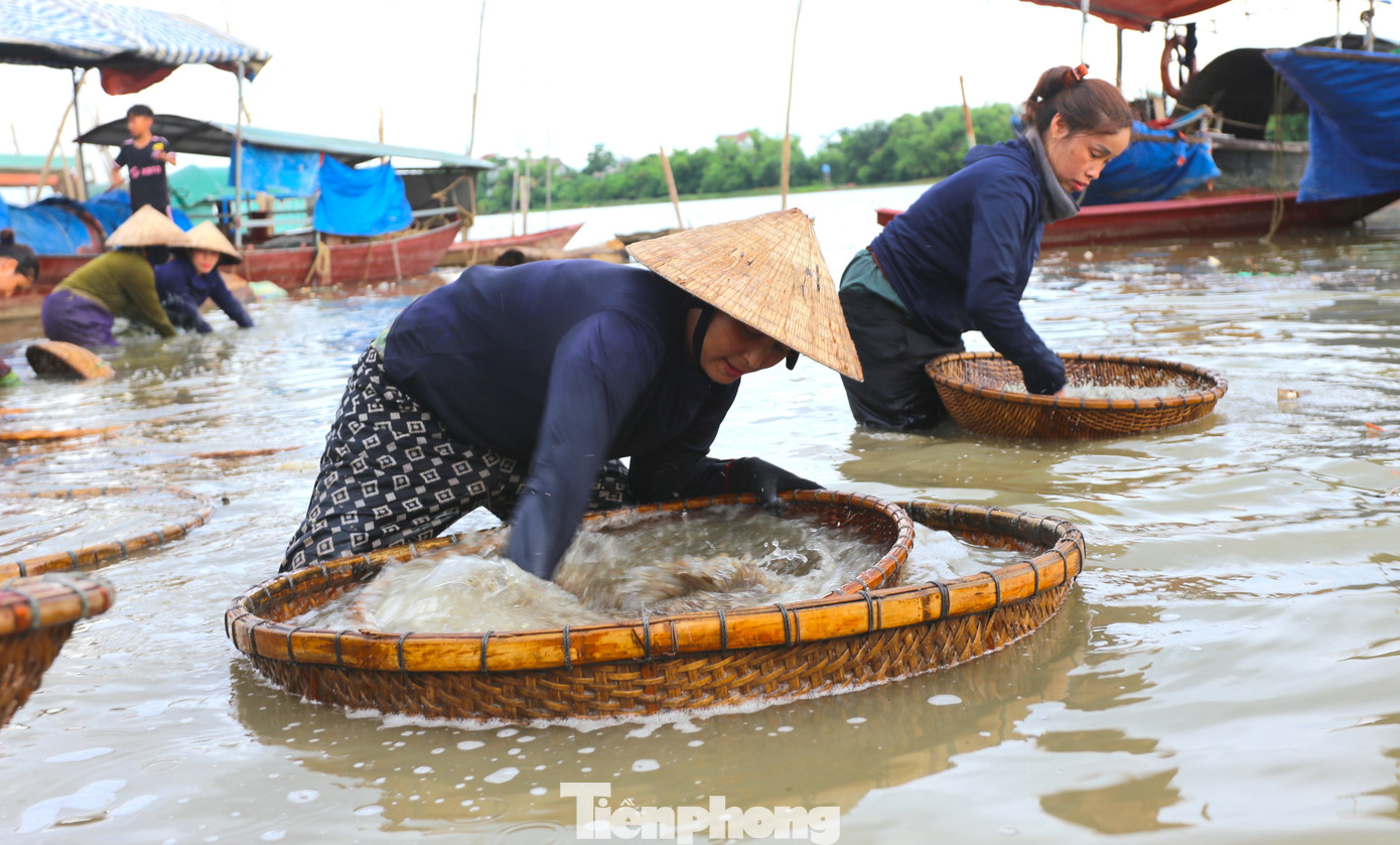 Cứ 100kg hến sống đãi được 10kg ruột thành phẩm. Khi thành phẩm, hến được người dân nhập đi các tỉnh phía Bắc, phía Nam và tiêu thụ trong tỉnh. Hiện một kg ruột bán giá 70 - 90 ngàn đồng tùy loại. Cứ 100kg hến sống đãi được 10kg ruột thành phẩm. Khi thành phẩm, hến được người dân nhập đi các tỉnh phía Bắc, phía Nam và tiêu thụ trong tỉnh. Hiện một kg ruột bán giá 70 - 90 ngàn đồng tùy loại.