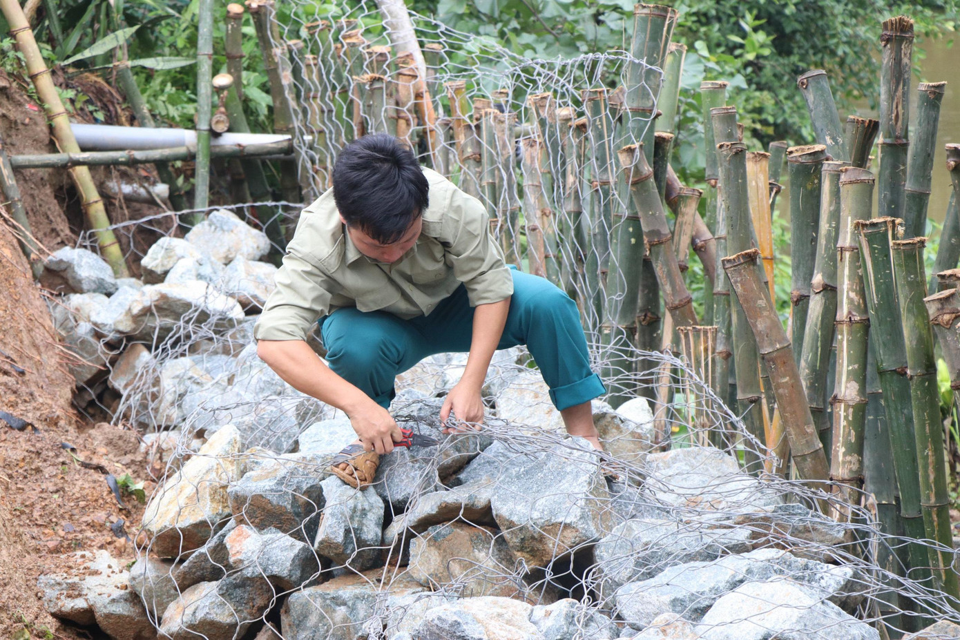 Người dân phải dùng đá, thép và cọc tre để ngăn chặn tình trạng sạt lở. Người dân phải dùng đá, thép và cọc tre để ngăn chặn tình trạng sạt lở.