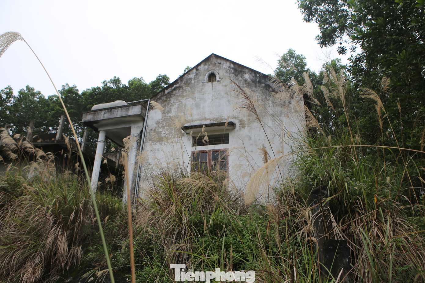 Hơn chục năm nay, công trình này vẫn luôn trong tình trạng vô chủ và bị bỏ hoang.
