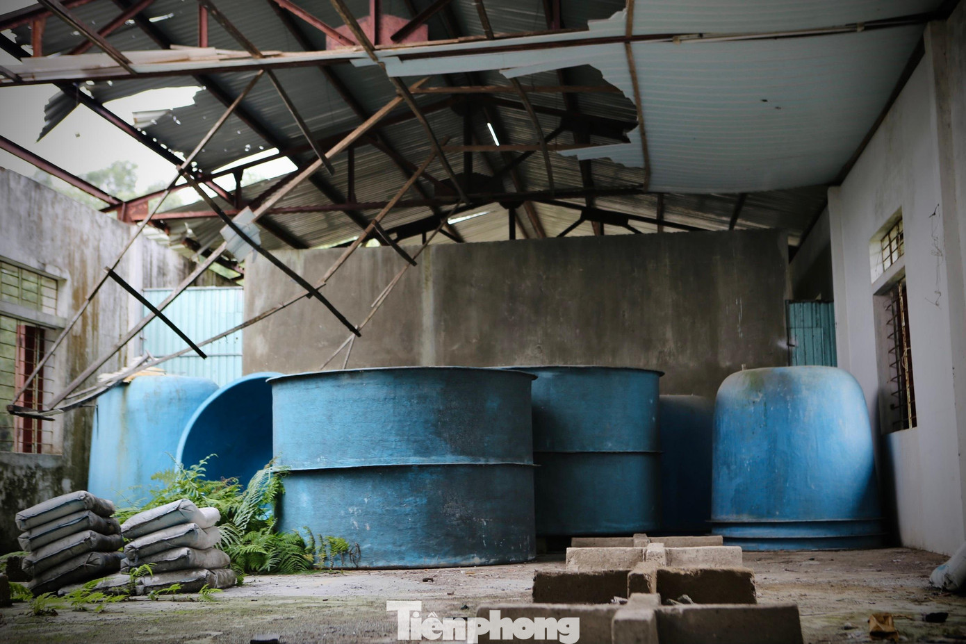 “Do công ty của nước ngoài, nên việc thanh lý hợp đồng còn nhiều phức tạp. Chúng tôi muốn lấy đất về để làm, nhưng không được, luật quy định phải giữ nguyên hiện trường chờ xử lý. Hiện tại hợp đồng tranh chấp đang ở toà. Trước đó tỉnh giao trại cho công ty nước ngoài thuê lại để làm cá mú, tuy nhiên khi công ty nhận trại để sản xuất, do cá bơn, cá mú khó tiêu thụ, người ta không nuôi nữa nên trại bỏ hoang từ 2015 đến nay”, ông Trí cho hay.