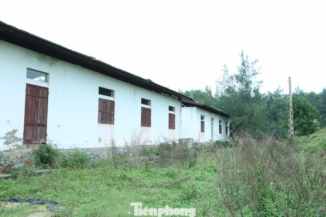 Theo tìm hiểu của Tiền Phong, tháng 9/2015, Trung tâm Khuyến nông Hà Tĩnh ký hợp đồng với đối tác ở nước ngoài cho thuê trại với thời hạn 5 năm để sản xuất cá mú, cá bơn. Thời điểm này đối tác hứa đầu tư 10 tỷ đồng để sản xuất 500.000 con giống mỗi năm. Tuy nhiên, do vướng mắc về cơ chế và thị trường tiêu thụ gặp khó nên khi vào hoạt động được vài tháng thì dừng.