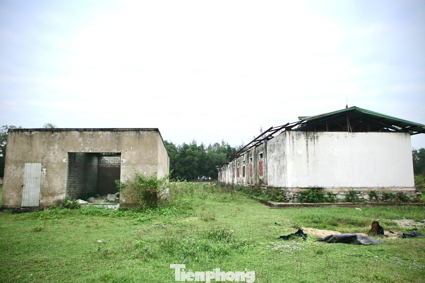 Toàn bộ hơn 3ha ở thôn Ninh Hòa, xã Xuân Phổ được nhường cho trại làm các hạng mục như nhà điều hành, khu nuôi thực nghiệm giống….