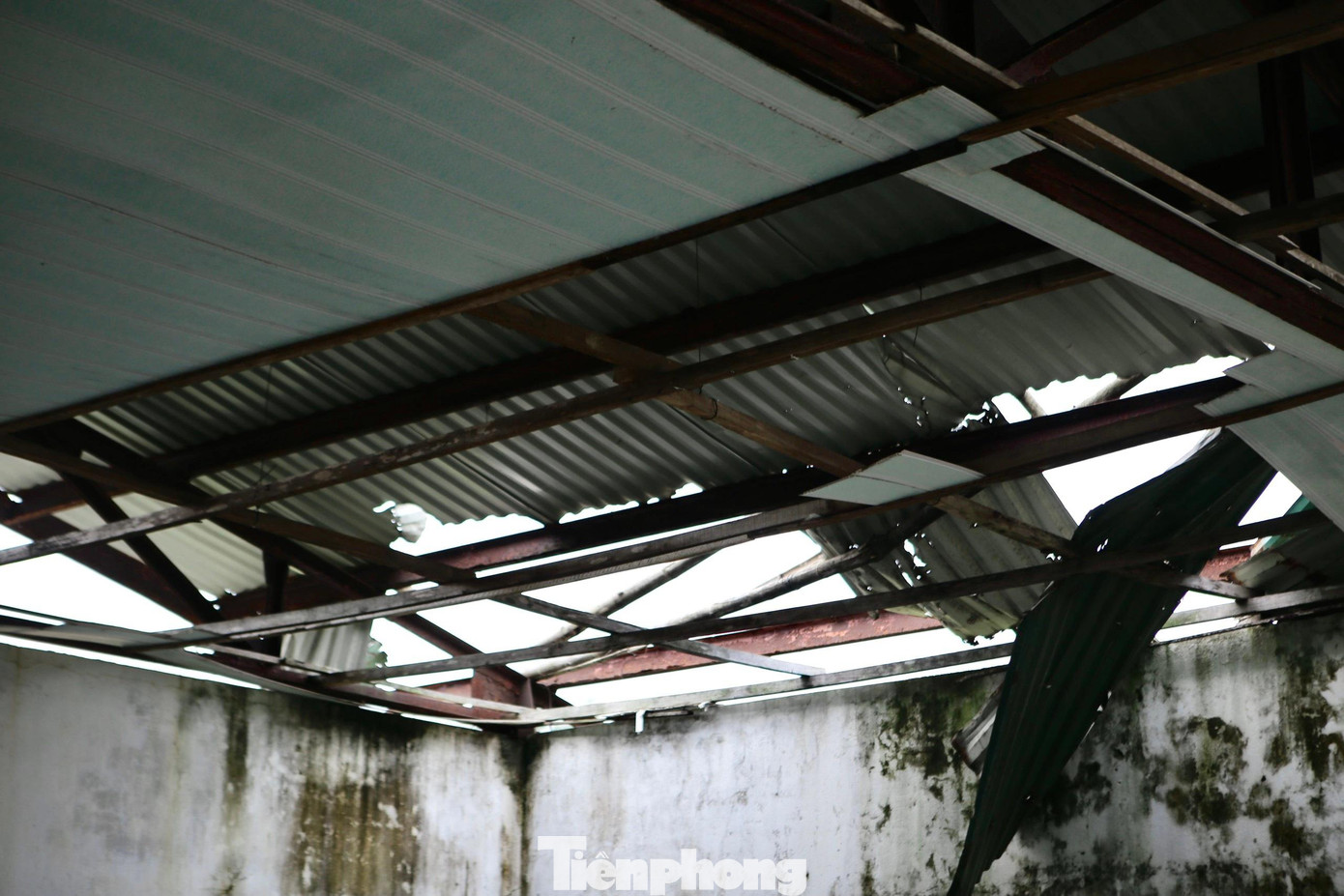 Hàng chục căn phòng của khu nuôi thực nghiệm bỏ hoang nhiều năm. Bên trong các vật dụng đã hư hỏng, mái nhà bị gió thổi bay từng mảng...