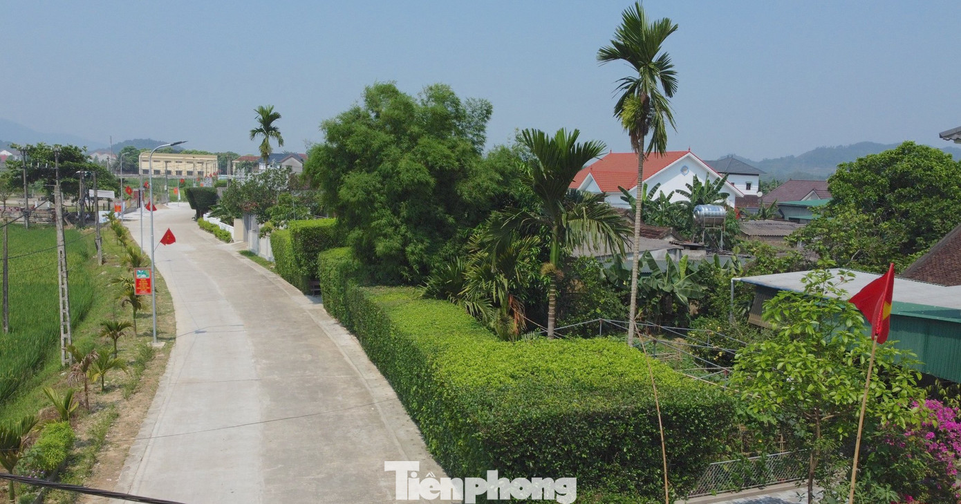 Cổng nhà, hàng rào bằng cây duối có tuổi đời trên trăm tuổi, ở thôn Châu Nội, xã Tùng Ảnh (huyện Đức Thọ, tỉnh Hà Tĩnh) tạo nên vẻ yên bình, thơ mộng, nét đẹp của làng Việt xưa.