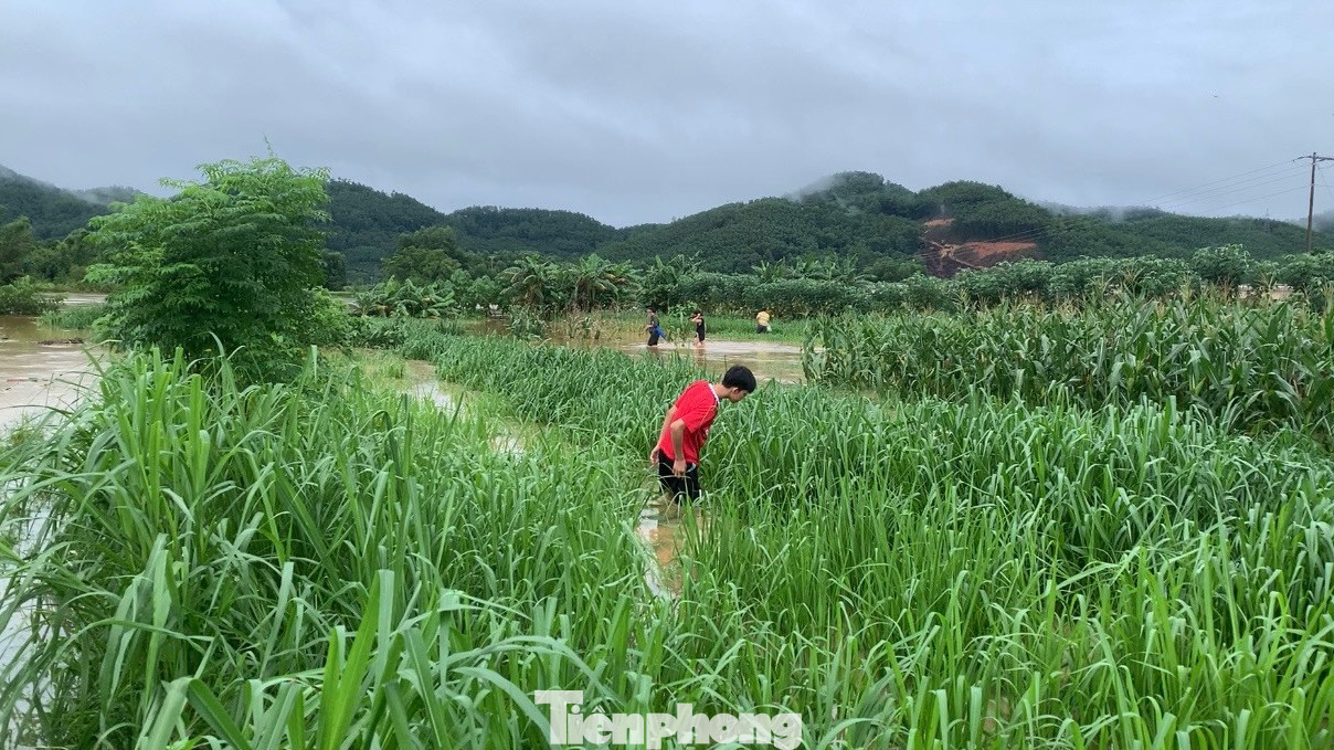 Vào mùa lũ, người dân huyện Hương Sơn (Hà Tĩnh) tận dụng thời điểm này ra khu vực ven bờ sông để bắt dế. Theo nhiều người dân, mùa lũ năm nay dế nhiều, chỉ cần mang dụng cụ là chai nhựa theo là có thể bắt được.