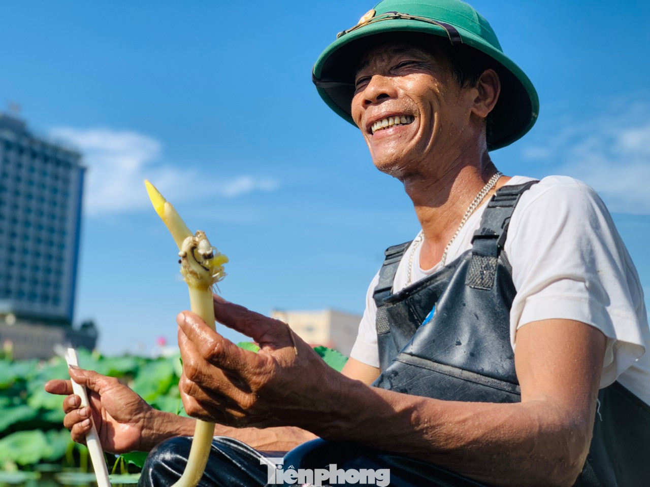 Một kg ngó sen, ông Đại bán ra 65 ngàn đồng. Dù cho thu nhập khá, nhưng việc thu hoạch rất khó khăn, phải lội bùn, đội nắng để làm việc. Nhờ ruộng sen mà ông có tiền trang trải các khoản chi phí sinh hoạt trong gia đình. Một kg ngó sen, ông Đại bán ra 65 ngàn đồng. Dù cho thu nhập khá, nhưng việc thu hoạch rất khó khăn, phải lội bùn, đội nắng để làm việc. Nhờ ruộng sen mà ông có tiền trang trải các khoản chi phí sinh hoạt trong gia đình.