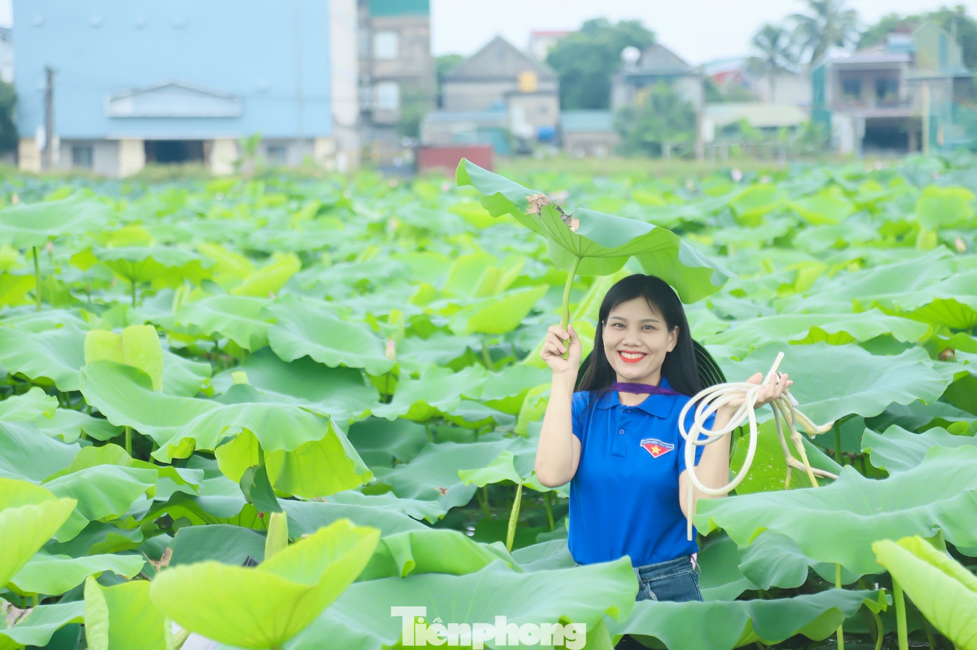 Nhiều bạn trẻ cũng đến tại đầm sen để lưu giữ những khoảnh khắc đẹp trong mùa sen nở. Nhiều bạn trẻ cũng đến tại đầm sen để lưu giữ những khoảnh khắc đẹp trong mùa sen nở.