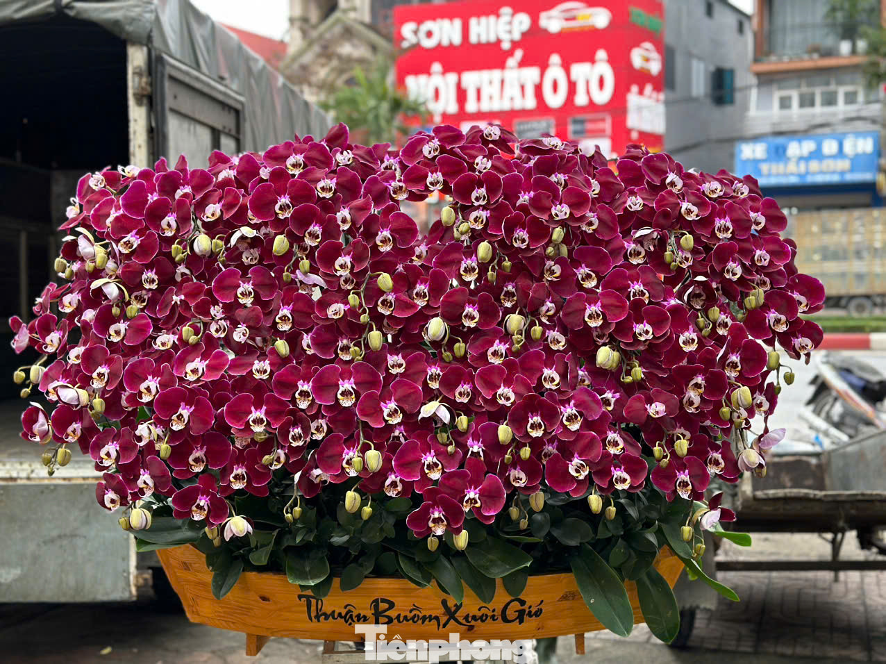 Tại thành phố Hà Tĩnh, năm nay lan hồ điệp đưa về với nhiều màu khác nhau. Đặc biệt thị trường năm nay lan được ghép trên các thân gỗ lũa được nhiều người thích thú, tìm mua. Theo ghi nhận thị trường dịp Tết tại thành phố Hà Tĩnh, lan ở đây không chỉ có giá vài triệu đồng hay vài chục triệu đồng, mà có chậu lan được ghép theo dáng "độc lạ" trên gỗ lũa giá 100 triệu đồng.