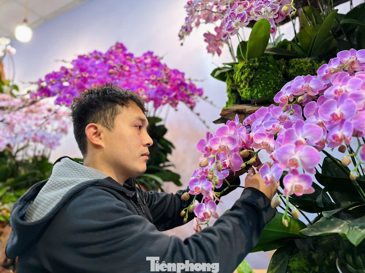 Anh Phạm Linh Tự (27 tuổi, trú huyện Hương Sơn) cho biết, anh cùng 3 người thợ cắm hoa khác đã thực hiện tác phẩm này trong suốt nhiều giờ. Ý tưởng làm chậu lan trên thân lũa này được anh thực hiện với tên gọi cho tác phẩm nghệ thuật này là "Rừng hoa mùa Xuân". "Đến nay tôi đã có kinh nghiệm trên 10 năm cắm hoa. Tác phẩm chậu lan này được lấy ý tưởng từ "Rừng hoa mùa Xuân" để thực hiện. Trong chậu có 300 cành lan với 8 màu chủ đạo, đó là đỏ cheri, màu lan bản đồ nhí.... Đây là những loại màu lan đẹp, lạ mắt thu hút người nhìn. Năm nay thị trường khách hàng lựa chọn là lan ghép trên thân gỗ lũa, bởi nó nhìn tự nhiên, hài hoà", anh Tự nói.