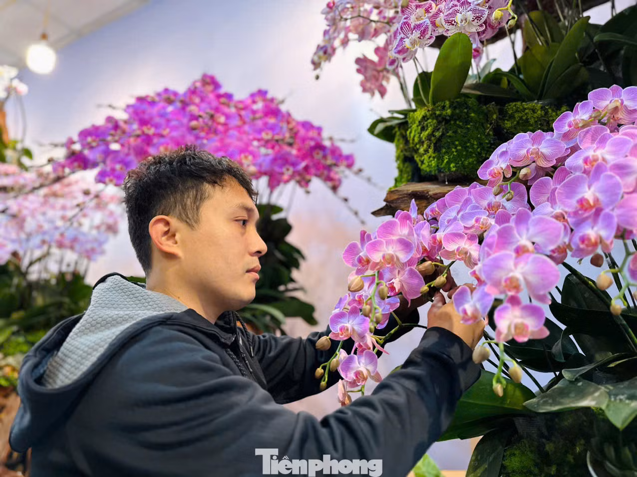 Anh Phạm Linh Tự (27 tuổi, trú huyện Hương Sơn) cho biết, anh cùng 3 người thợ cắm hoa khác đã thực hiện tác phẩm này trong suốt nhiều giờ. Ý tưởng làm chậu lan trên thân lũa này được anh thực hiện với tên gọi cho tác phẩm nghệ thuật này là "Rừng hoa mùa Xuân". "Đến nay tôi đã có kinh nghiệm trên 10 năm cắm hoa. Tác phẩm chậu lan này được lấy ý tưởng từ "Rừng hoa mùa Xuân" để thực hiện. Trong chậu có 300 cành lan với 8 màu chủ đạo, đó là đỏ cheri, màu lan bản đồ nhí.... Đây là những loại màu lan đẹp, lạ mắt thu hút người nhìn. Năm nay thị trường khách hàng lựa chọn là lan ghép trên thân gỗ lũa, bởi nó nhìn tự nhiên, hài hoà", anh Tự nói. Anh Phạm Linh Tự (27 tuổi, trú huyện Hương Sơn) cho biết, anh cùng 3 người thợ cắm hoa khác đã thực hiện tác phẩm này trong suốt nhiều giờ. Ý tưởng làm chậu lan trên thân lũa này được anh thực hiện với tên gọi cho tác phẩm nghệ thuật này là "Rừng hoa mùa Xuân". "Đến nay tôi đã có kinh nghiệm trên 10 năm cắm hoa. Tác phẩm chậu lan này được lấy ý tưởng từ "Rừng hoa mùa Xuân" để thực hiện. Trong chậu có 300 cành lan với 8 màu chủ đạo, đó là đỏ cheri, màu lan bản đồ nhí.... Đây là những loại màu lan đẹp, lạ mắt thu hút người nhìn. Năm nay thị trường khách hàng lựa chọn là lan ghép trên thân gỗ lũa, bởi nó nhìn tự nhiên, hài hoà", anh Tự nói.