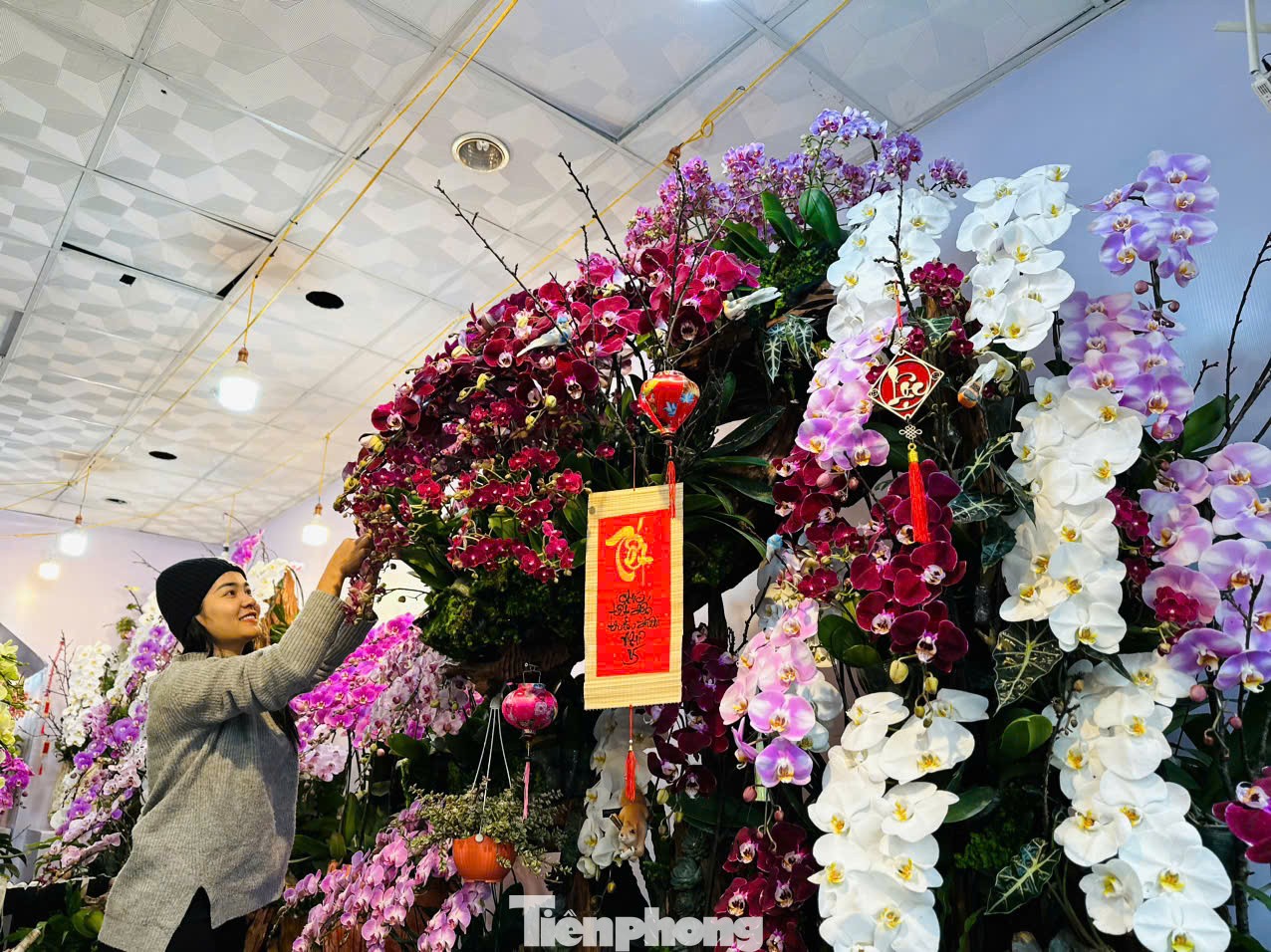 Mặc dù mới được mang ra bày bán nhưng chậu lan 100 triệu này đã có chủ.