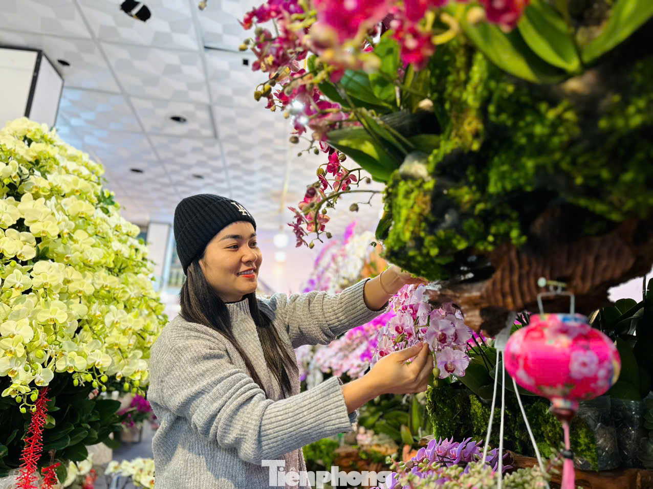 Theo chị Ngoan, hiện tại chậu lan với 300 cành ghép trên thân lũa đã được bán cho một vị khách với giá 100 triệu đồng. Nhu cầu thị trường khách hàng năm nay thiên về các loại lan cắm trên thân gỗ lũa, bởi tạo sự nhẹ nhàng, tự nhiên...