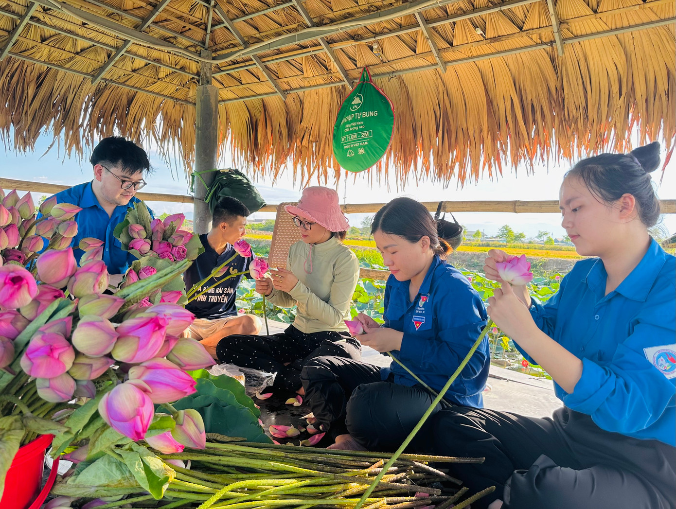 Trước khi tặng miễn phí, đoàn viên thanh niên bẻ cành, tạo dáng để bó hoa sen thêm rực rỡ khi đến tay người dân.
