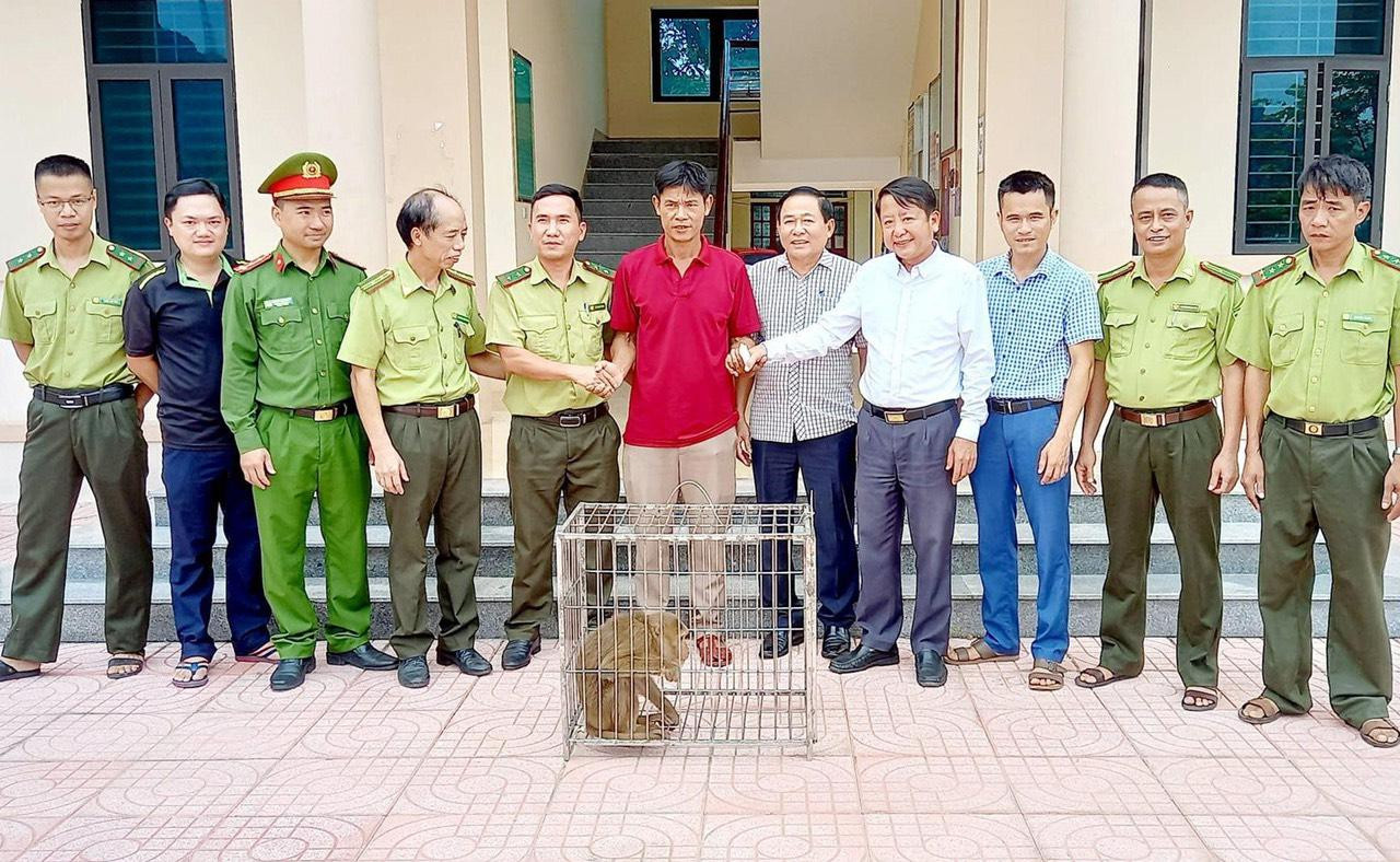 Cá thể khỉ vàng quý hiếm được giao nộp cho kiểm lâm. Cá thể khỉ vàng quý hiếm được giao nộp cho kiểm lâm.