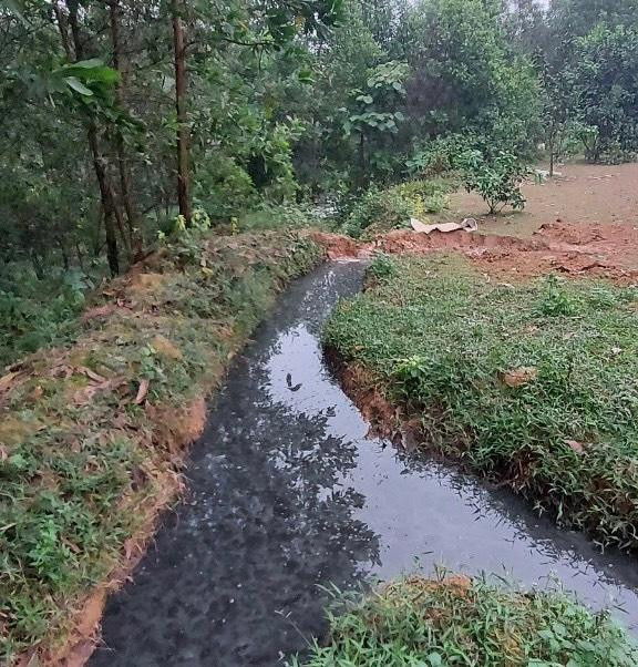 Nước thải chưa qua xử lý được ông Hạnh xả ra môi trường vào tháng 12/2021 (hình ảnh người dân cung cấp).