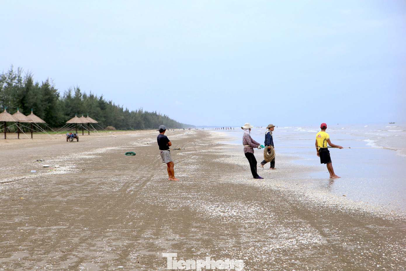 Những ngày cuối tháng 11, khi ánh bình minh bắt đầu le lói nơi cửa biển cũng là lúc những người dân vùng bãi ngang Hà Tĩnh hành nghề "đi giật lùi". Dọc bờ biển từ xã Thạch Kim đến xã Thịnh Lộc (huyện Lộc Hà) có cả trăm người cùng ra biển để kéo cá, cào ngao.