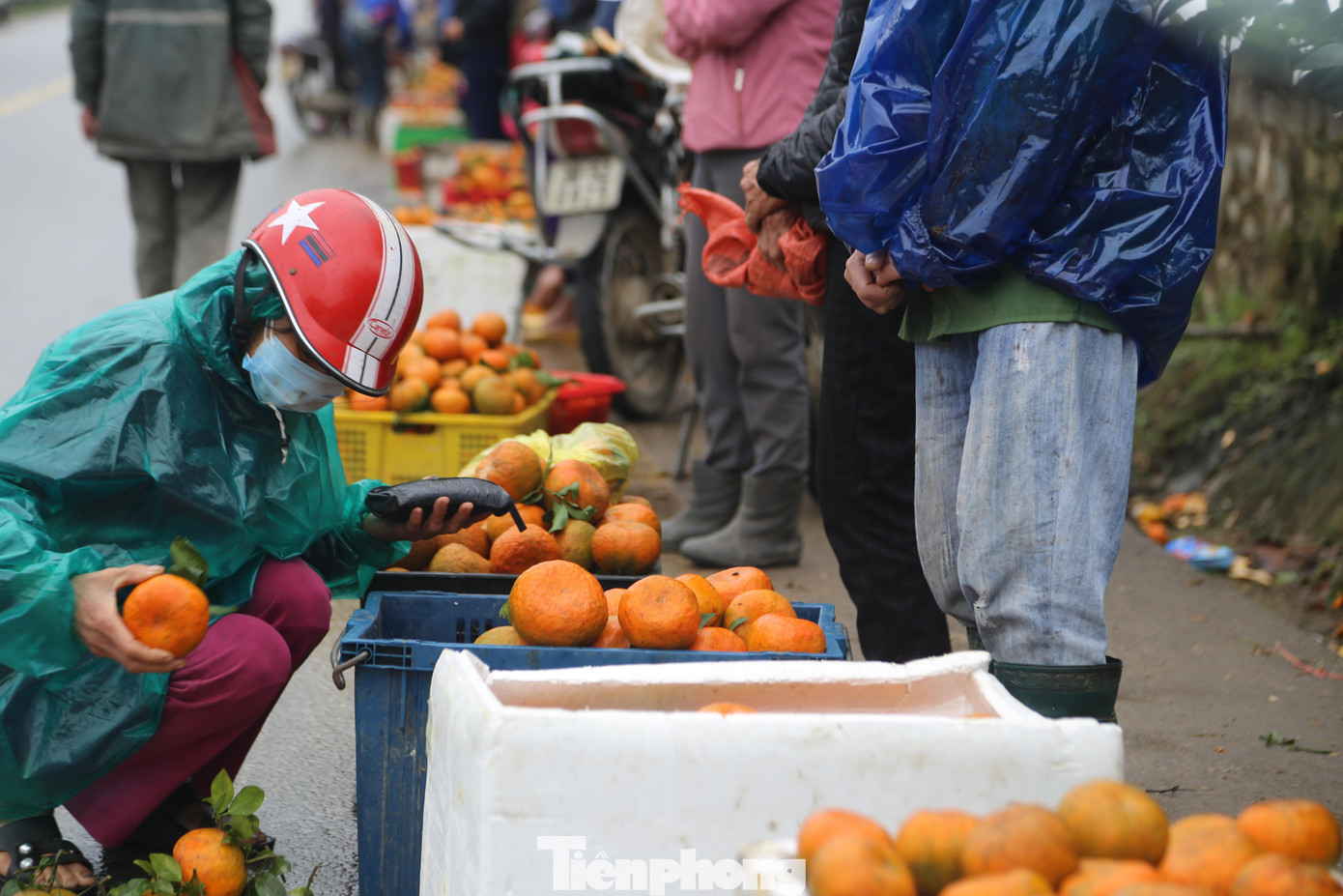Cam được bày bán dọc các tuyến đường ở huyện Hương Sơn. Nhiều người cũng đến để mua về ăn và làm quà biếu.