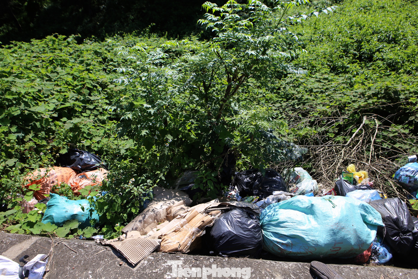 Rác người dân vứt dọc đường từ quốc lộ 8A vào trụ sở UBND xã Hoà Lạc. Rác người dân vứt dọc đường từ quốc lộ 8A vào trụ sở UBND xã Hoà Lạc.