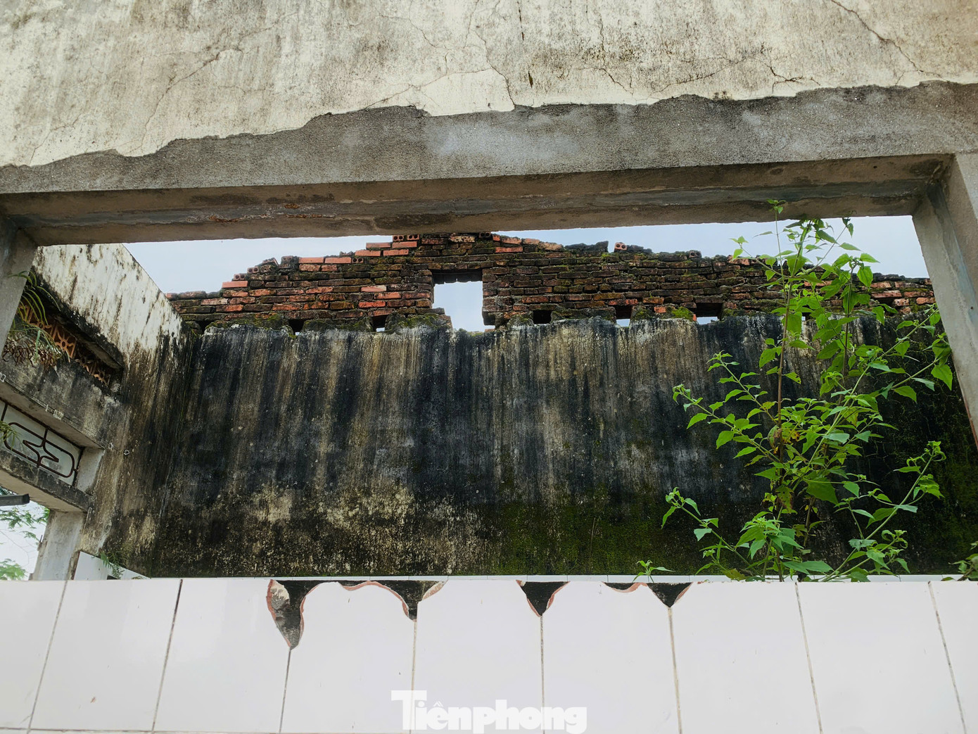 Lãnh đạo UBND xã Sơn Bình, huyện Hương Sơn (Hà Tĩnh) cho biết, khu đất của Bệnh viện Nầm trước đây thuộc trung tâm y tế huyện, hiện đang trong quá trình bàn giao thủ tục cho xã quản lý về mặt hành chính.