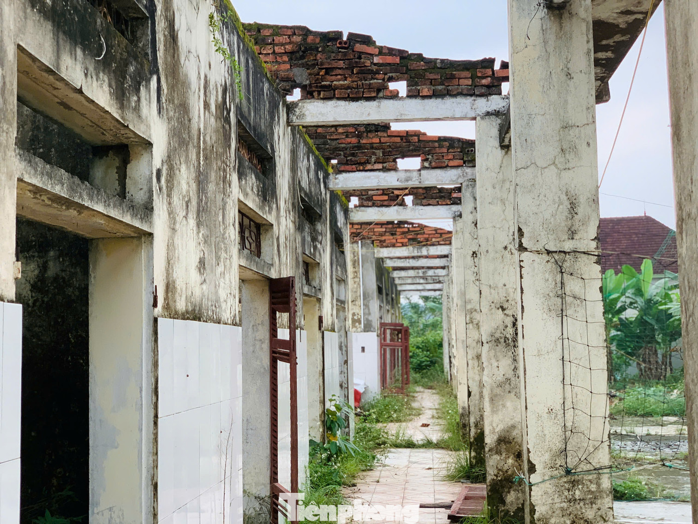 Phần lớn mái ngói bị đổ sụp; khung sườn rệu rã.