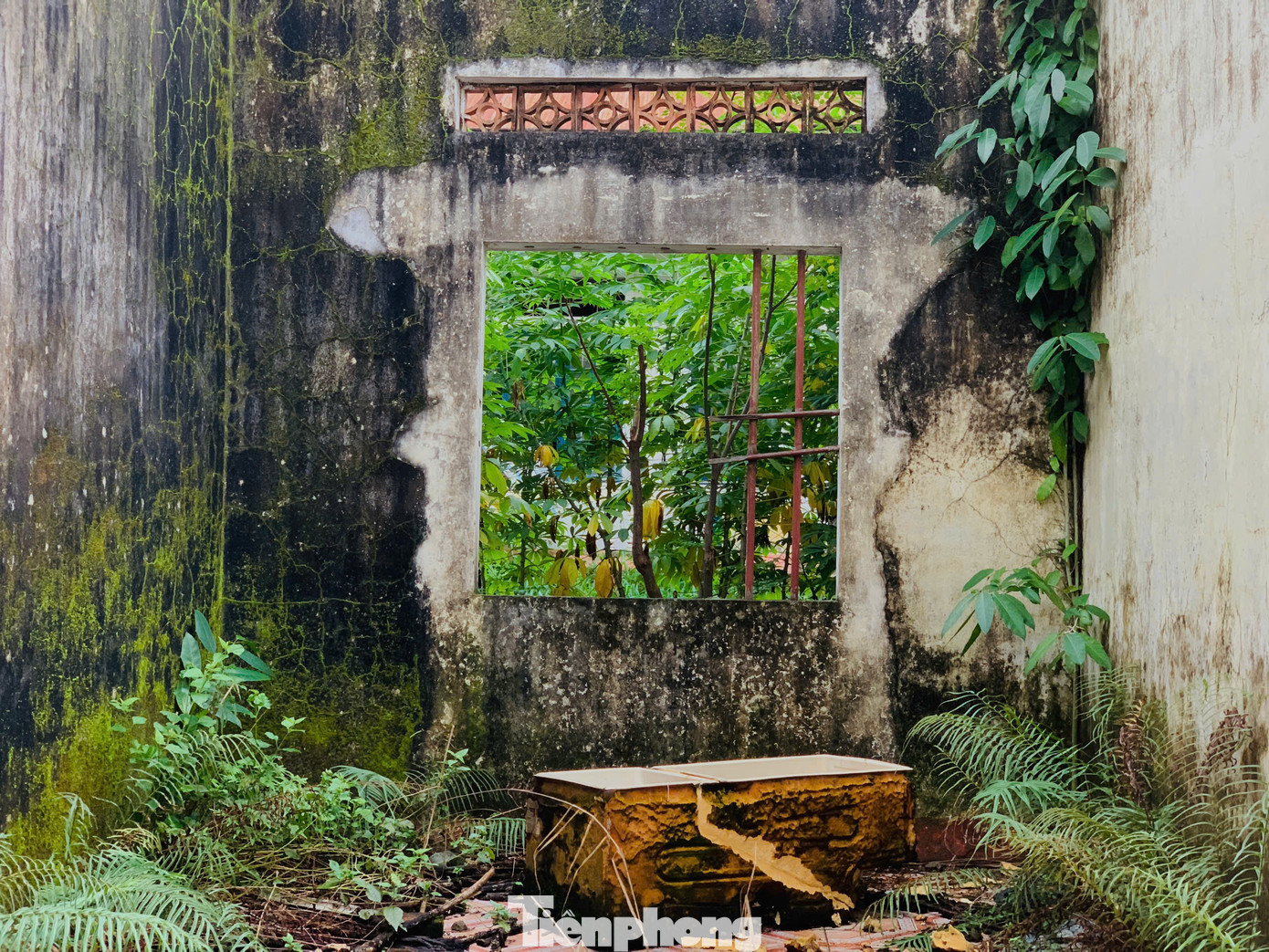 Qua ghi nhận, tại khu vực này các dãy nhà chức năng bị hư hỏng; hệ thống tuờng bao đổ nát, tường nhà bị hoen ố, loang lổ, bong tróc theo thời gian.