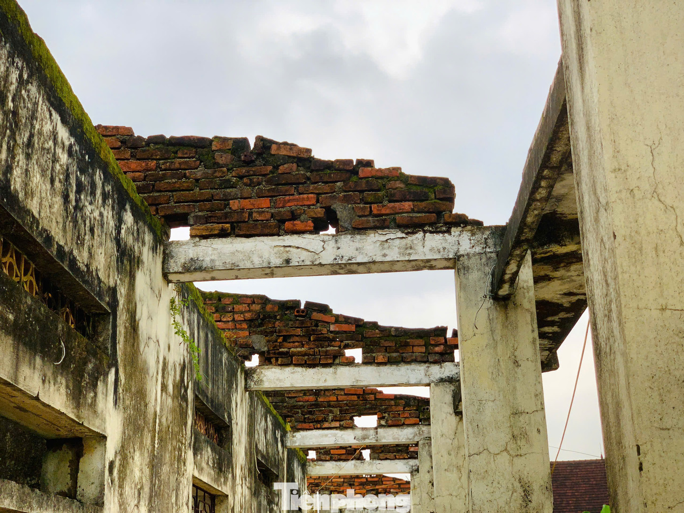 Khuôn viên trở nên nhếch nhác.