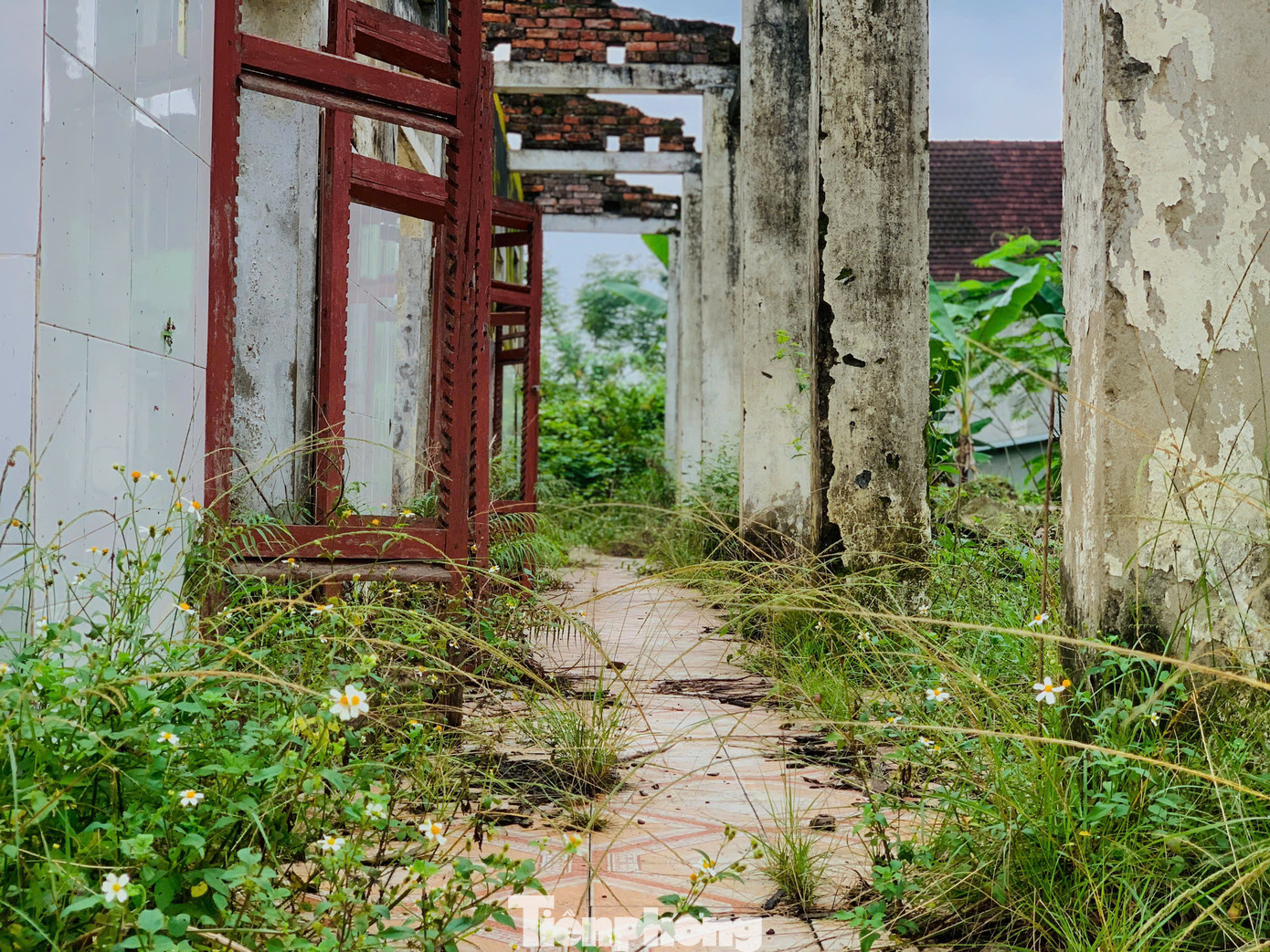 Cây cối mọc um tùm bên trong khuôn viên.