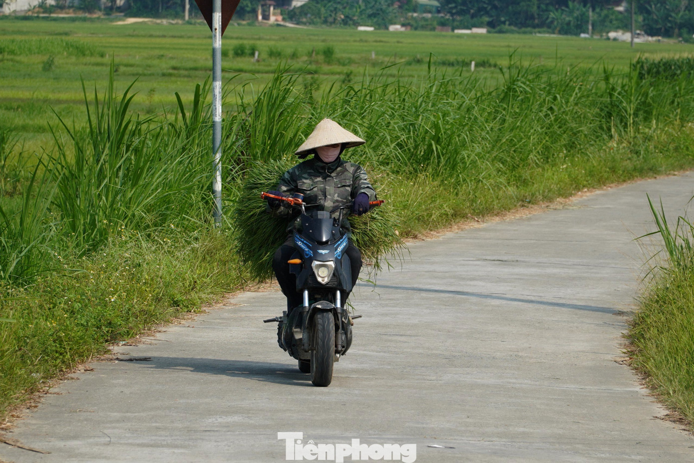 Hà Tĩnh ghi nhận nắng nóng kỷ lục trên 42 độ C. Hà Tĩnh ghi nhận nắng nóng kỷ lục trên 42 độ C.