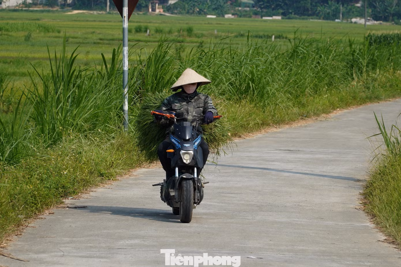 "Từ 5h sáng tôi đã dậy để đi ra đồng. Làm việc đến khoảng 9h tôi về nhà, những ngày này thời tiết khắc nghiệt, nắng như đổ lửa. Chỉ làm việc được ít giờ buổi sáng, còn buổi chiều nhiệt độ tăng cao ở trong nhà cũng nóng hầm hập", bà Nguyễn Thị Liên (trú xã Sơn Giang) cho hay.