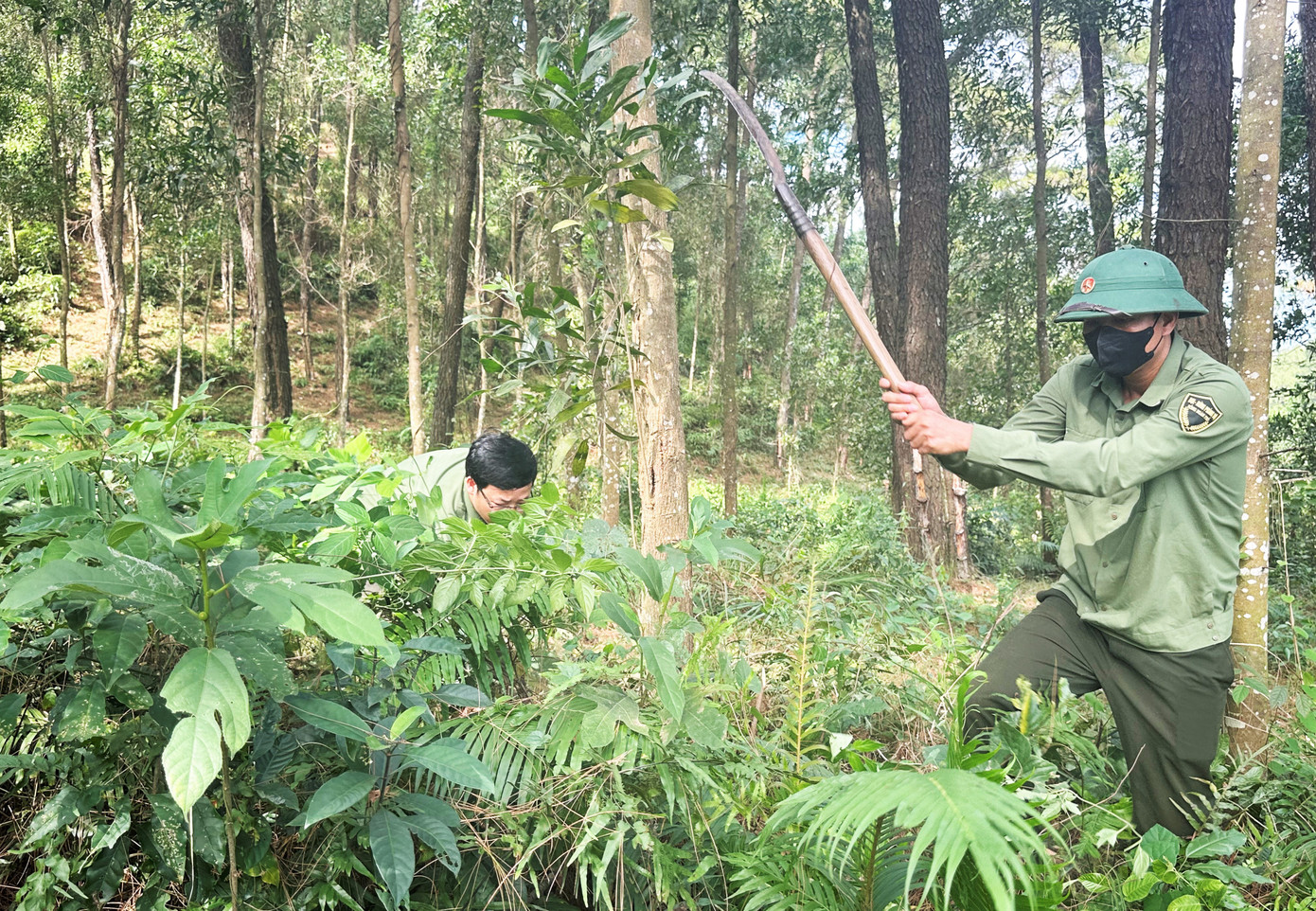 Những ngày nắng nóng, ngành kiểm lâm vào rừng để phát quang, phòng chống cháy.