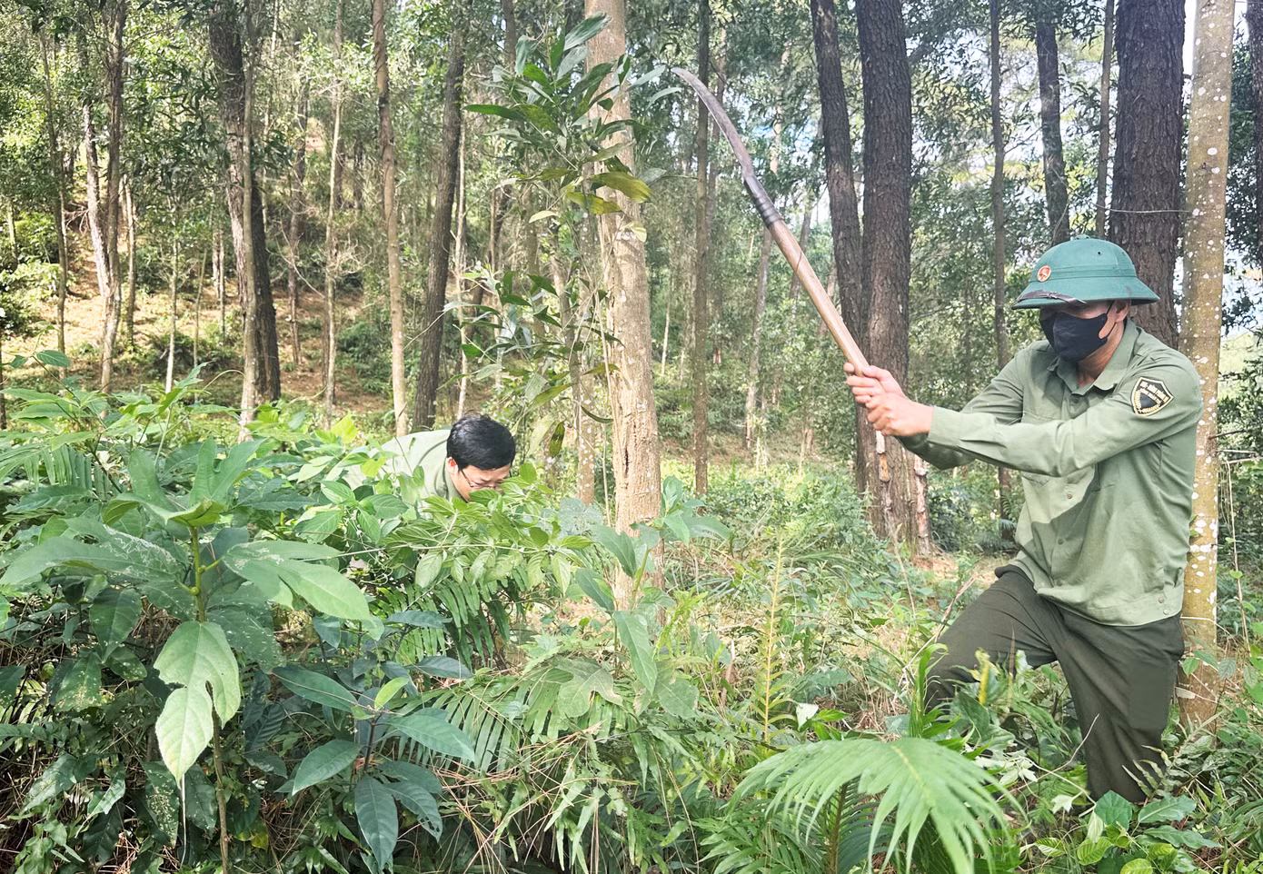 Những ngày nắng nóng, ngành kiểm lâm vào rừng để phát quang, phòng chống cháy.