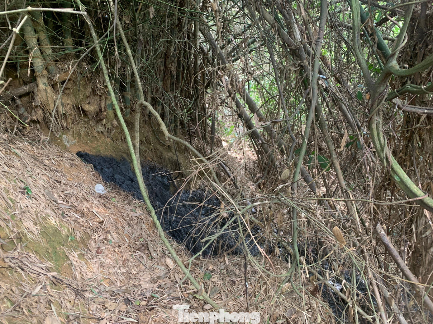 Địa điểm chất thải chảy trực tiếp ra môi trường.