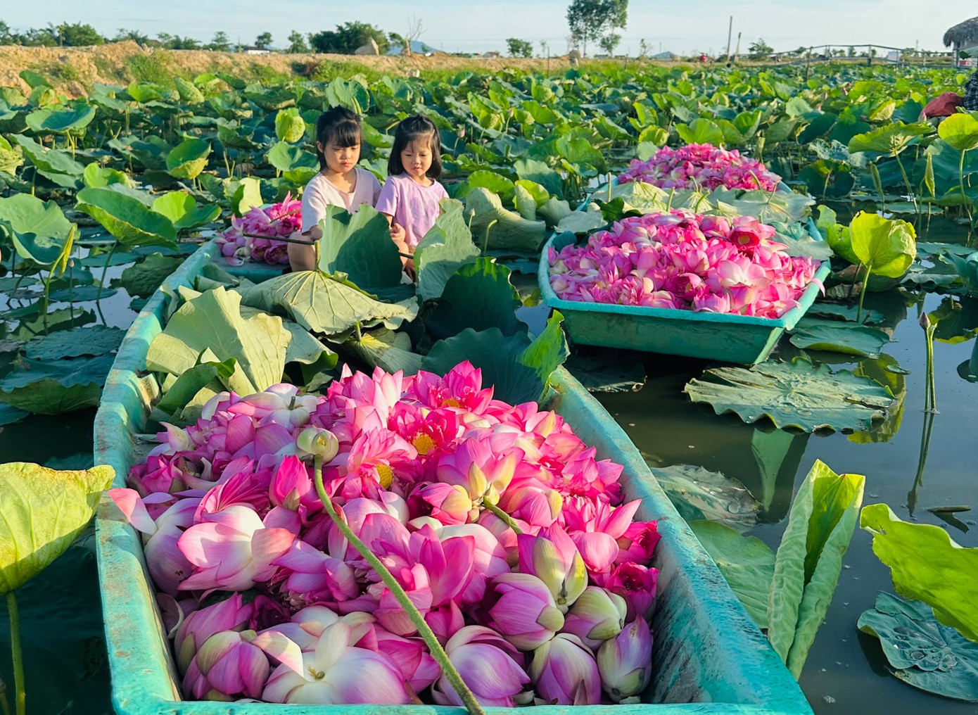 Đây là thành quả của những người trẻ thành phố Hà Tĩnh thực hiện trong nhiều năm qua.