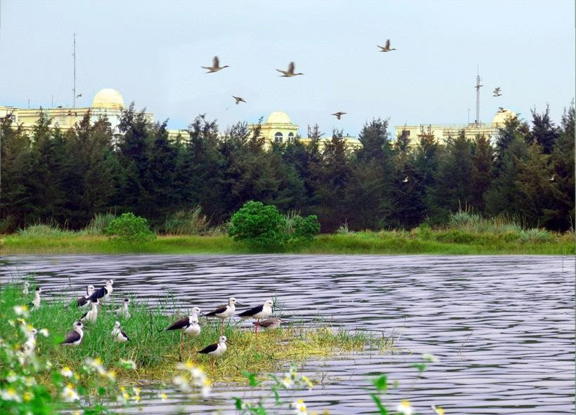 Hiện nay FHS đã trồng được trên 550 nghìn cây xanh cho khu vực nhà máy.