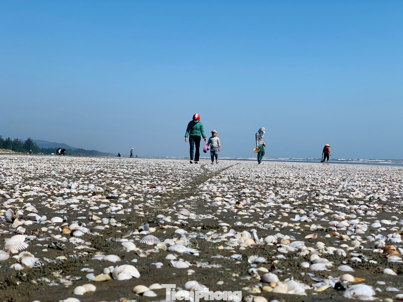 Bà Nguyễn Thành (trú thị trấn Lộc Hà) cho hay, sau mỗi trận mưa rác bị sóng đánh dạt vào bờ rất nhiều gây ô nhiễm. Đây lại là khu du lịch nên nếu không thu gom sớm sẽ làm ảnh hưởng đến việc đón khách khi mùa du lịch sắp tới.