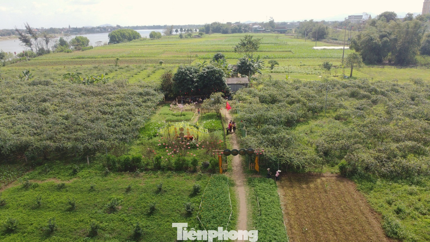 Với giá bán từ 40- 50.000 đồng/kg tùy loại quả, ngoài ra có thêm nguồn thu từ du lịch trải nghiệm, mỗi năm anh Tính lãi hơn 200 triệu đồng từ vườn táo.