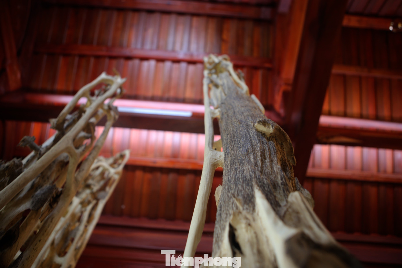 Những sản phẩm trầm hương sau khi hoàn thành.