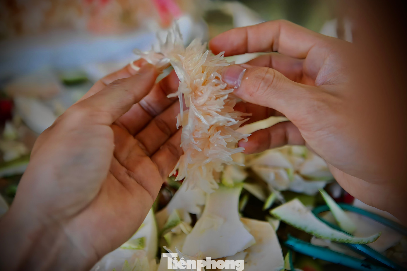 Chú chó ngộ nghĩnh được làm từ bưởi. Để hoàn thiện được một chú chó như thế này, anh Thiết phải mất gần 1 giờ đồng hồ. Khó và lâu nhất là công đoạn tách, bóc múi bưởi. Bưởi được chọn là loại bưởi chua, múi tép ít nước, khô.