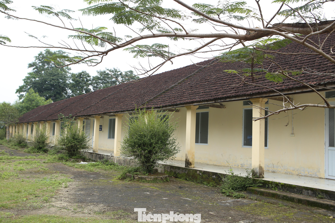 Ông Lê Đức Thuận - Chủ tịch UBND xã Sơn Trường, huyện Hương Sơn cho hay, nhà máy đi vào hoạt động từ năm 2015, do ảnh hưởng của dịch COVID-19 và nguồn đầu vào nguyên liệu không ổn định nên ngừng làm việc hơn 2 năm nay. Việc nhà máy ngừng hoạt động làm ảnh hưởng đến xây dựng nông thôn mới của địa phương.