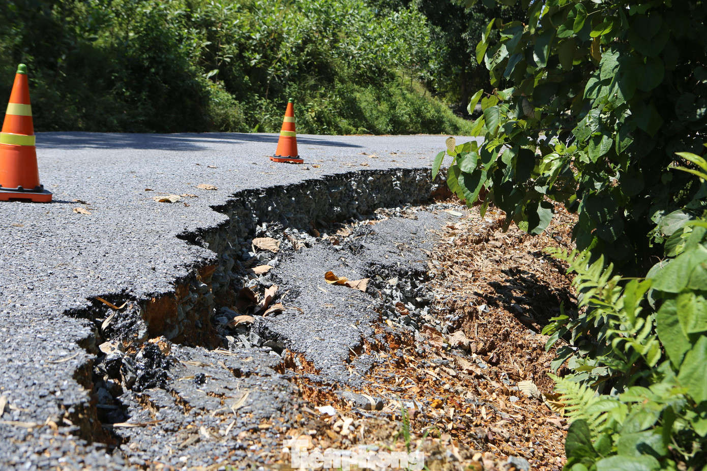 Công trình này nằm trong dự án nâng cấp Quốc lộ 281. Công trình có chiều dài hơn 3km, tổng kinh phí đầu tư với nguồn vốn gần 11 tỷ đồng do Sở GTVT Hà Tĩnh làm chủ đầu tư, đơn vị thi công là Công ty Cổ phần 496 (trụ sở đóng tại TP Vinh, tỉnh Nghệ An).