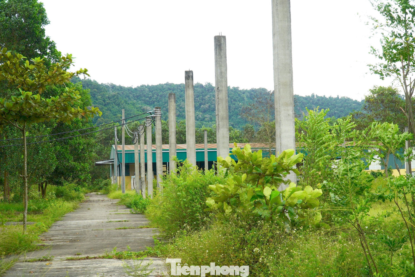 Nhiều hạng mục dang dở, phía trong, nhà xưởng, các dãy phòng làm việc, máy móc, thiết bị bỏ hoang, xuống cấp. Nhiều hạng mục dang dở, phía trong, nhà xưởng, các dãy phòng làm việc, máy móc, thiết bị bỏ hoang, xuống cấp.