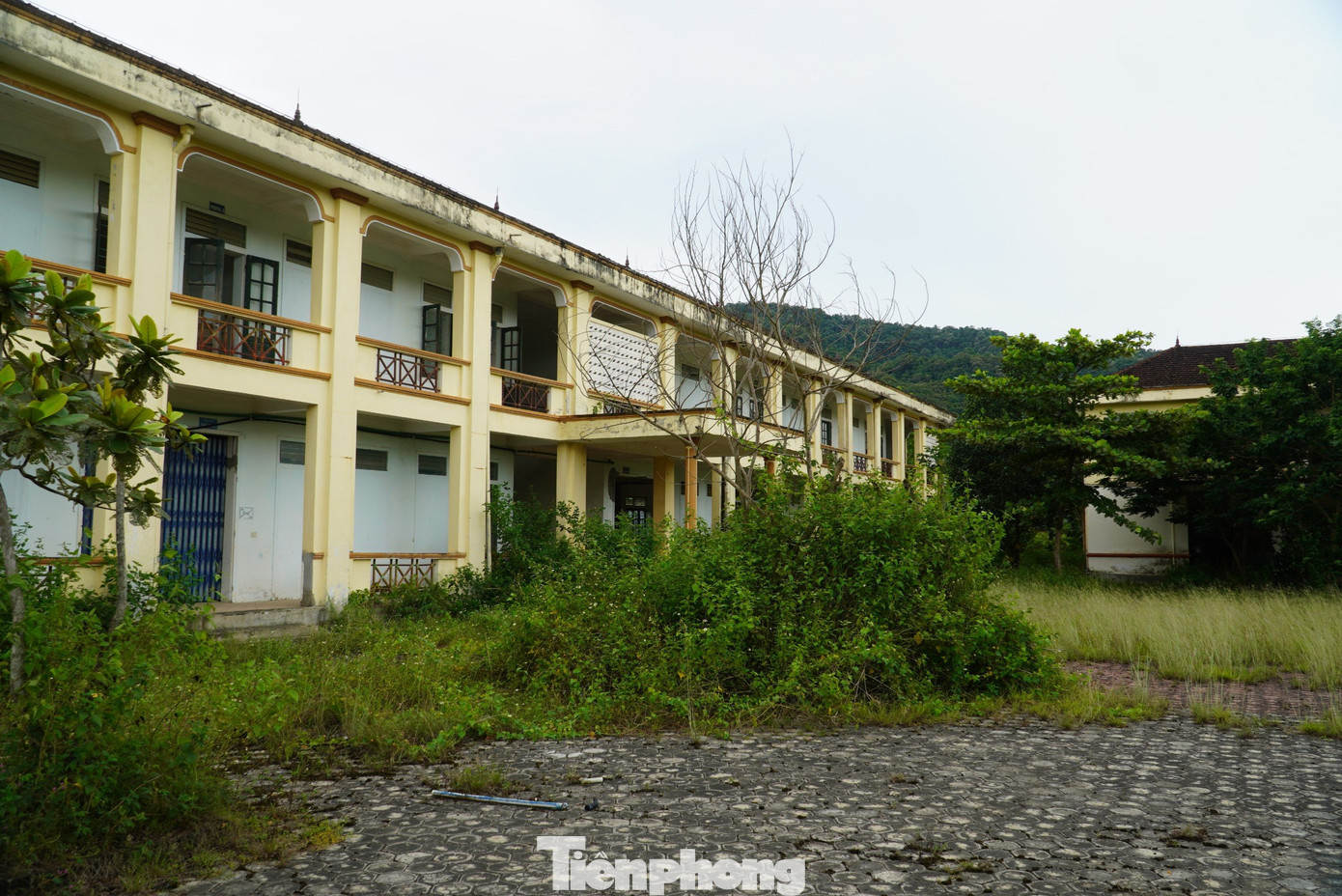 Đại diện UBND huyện Hương Sơn cho biết, sau khi Công ty May Thiên Thành Five Star thông báo tạm dừng vận hành, hiện khu công nghiệp Đại Kim thuộc Khu kinh tế cửa khẩu Cầu Treo không còn doanh nghiệp nào hoạt động, lâm cảnh đìu hiu. Đại diện UBND huyện Hương Sơn cho biết, sau khi Công ty May Thiên Thành Five Star thông báo tạm dừng vận hành, hiện khu công nghiệp Đại Kim thuộc Khu kinh tế cửa khẩu Cầu Treo không còn doanh nghiệp nào hoạt động, lâm cảnh đìu hiu.