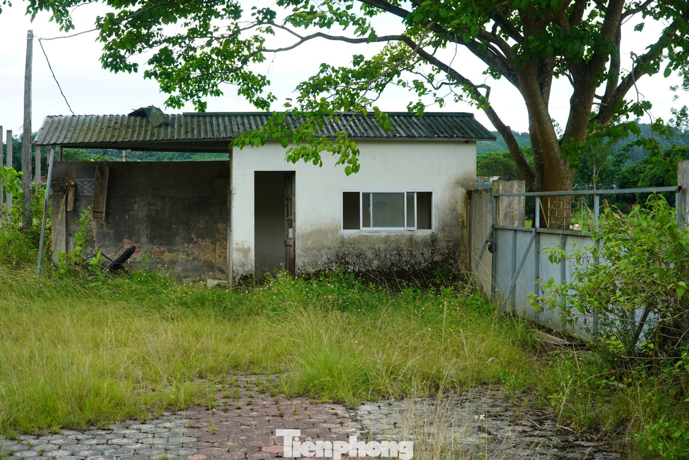 Trong khu công nghiệp Đại Kim, Dự án nhà máy sản xuất, lắp ráp ô tô, xe máy và các sản phẩm công nghiệp SOKI - CT do Công ty cổ phần Xe điện Hà Tĩnh làm chủ đầu tư cũng đang bỏ hoang. Dự án này được xây dựng trên diện tích 3,45ha, khởi công vào năm 2008. Trong khu công nghiệp Đại Kim, Dự án nhà máy sản xuất, lắp ráp ô tô, xe máy và các sản phẩm công nghiệp SOKI - CT do Công ty cổ phần Xe điện Hà Tĩnh làm chủ đầu tư cũng đang bỏ hoang. Dự án này được xây dựng trên diện tích 3,45ha, khởi công vào năm 2008.