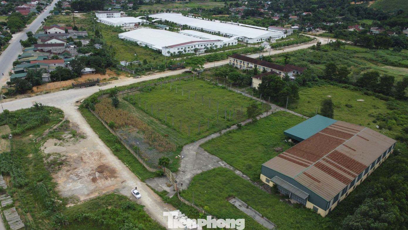 Việc Công ty May Thiên Thành Five Star hoạt động lại sau nhiều năm “đắp chiếu” được kỳ vọng sẽ có khởi sắc hơn tại khu công nghiệp. Tuy nhiên, tháng 11/ 2023 công ty thông báo tạm dừng do gặp nhiều khó khăn về hàng hóa, tài chính. Việc doanh nghiệp cuối cùng tạm dừng hoạt động, cũng khiến khu công nghiệp Đại Kim lâm cảnh đìu hiu. Việc Công ty May Thiên Thành Five Star hoạt động lại sau nhiều năm “đắp chiếu” được kỳ vọng sẽ có khởi sắc hơn tại khu công nghiệp. Tuy nhiên, tháng 11/ 2023 công ty thông báo tạm dừng do gặp nhiều khó khăn về hàng hóa, tài chính. Việc doanh nghiệp cuối cùng tạm dừng hoạt động, cũng khiến khu công nghiệp Đại Kim lâm cảnh đìu hiu.