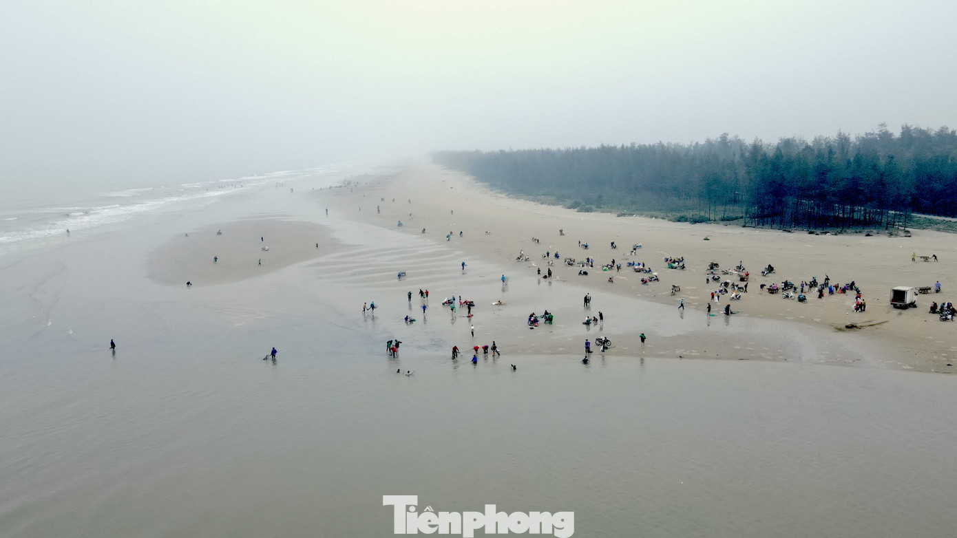 Liên tiếp những ngày qua, dọc bãi biển xã Thịnh Lộc (huyện Lộc Hà, Hà Tĩnh), có hàng trăm người mang theo vợt, xô nhựa, bì tải đi vớt sò lông.