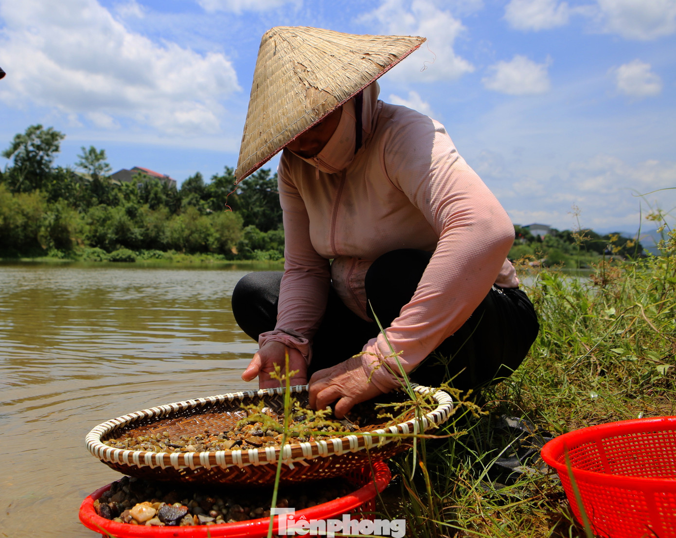 Người cào hến phải dùng sàng sẩy cho sạch đất, sỏi, rồi nhặt hến bỏ vào rổ riêng. Trong ảnh bà Nguyễn Thị Thuận (trú xã Sơn Giang) nhanh tay nhặt bỏ đá và làm sạch hến.
