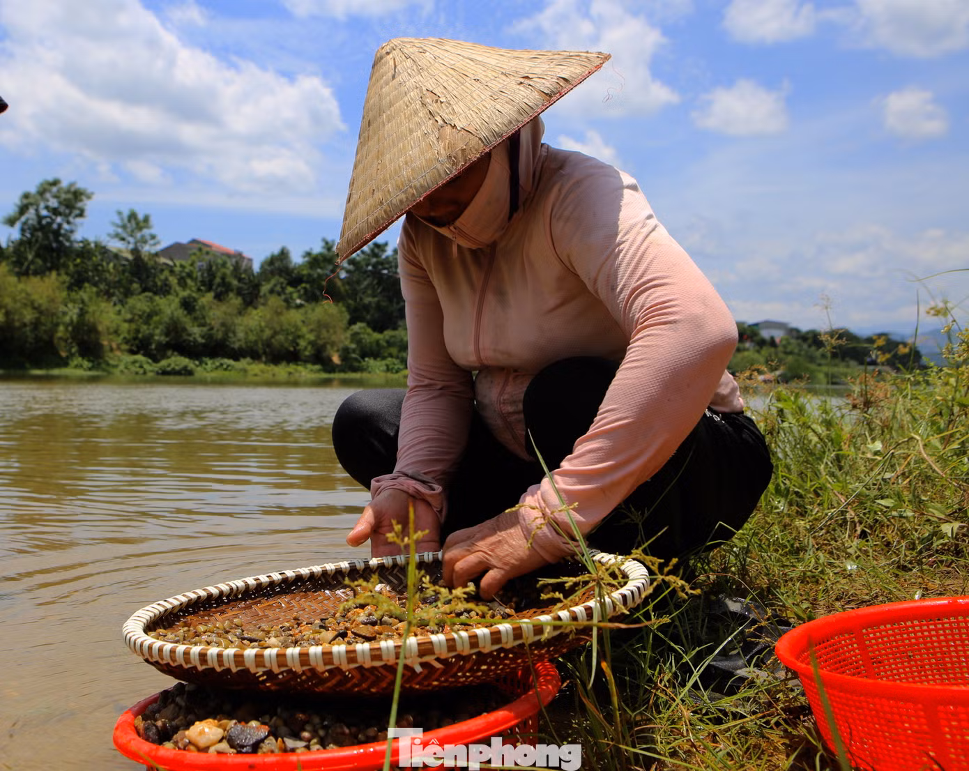 Người cào hến phải dùng sàng sẩy cho sạch đất, sỏi, rồi nhặt hến bỏ vào rổ riêng. Trong ảnh bà Nguyễn Thị Thuận (trú xã Sơn Giang) nhanh tay nhặt bỏ đá và làm sạch hến.