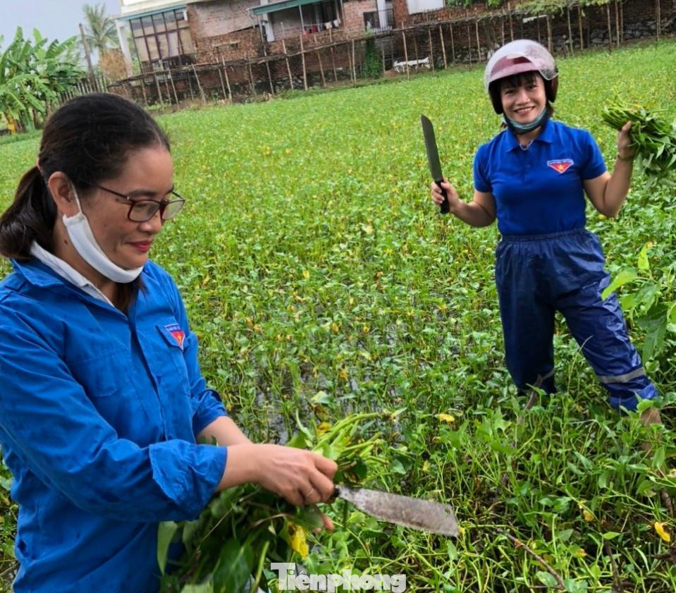 Lực lượng thanh niên xã Quang Vĩnh hái rau để hỗ trợ những hộ dân đang bị cô lập. Lực lượng thanh niên xã Quang Vĩnh hái rau để hỗ trợ những hộ dân đang bị cô lập.
