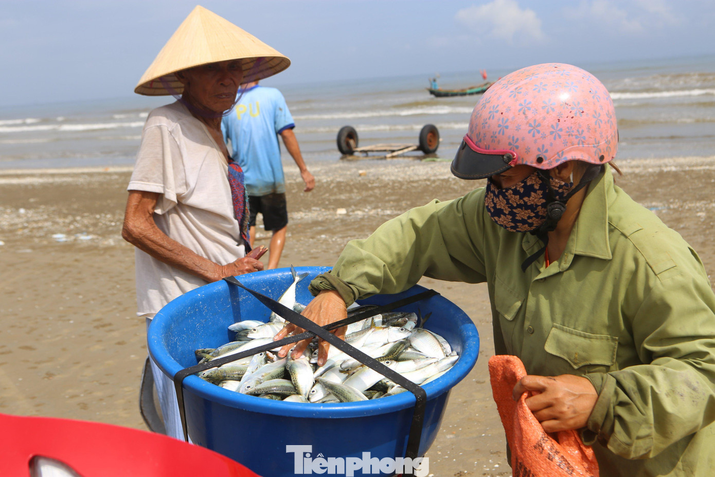 Cá được đưa lên bờ bán cho thương lái hoặc người dân tự mang ra chợ để bán kiếm thêm thu nhập.
